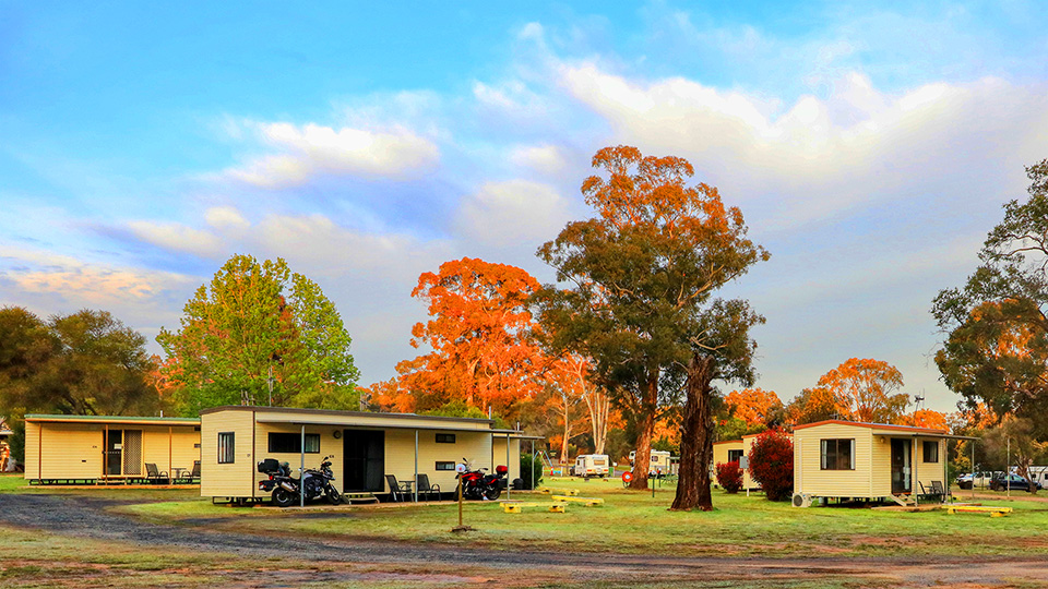 Cabins
